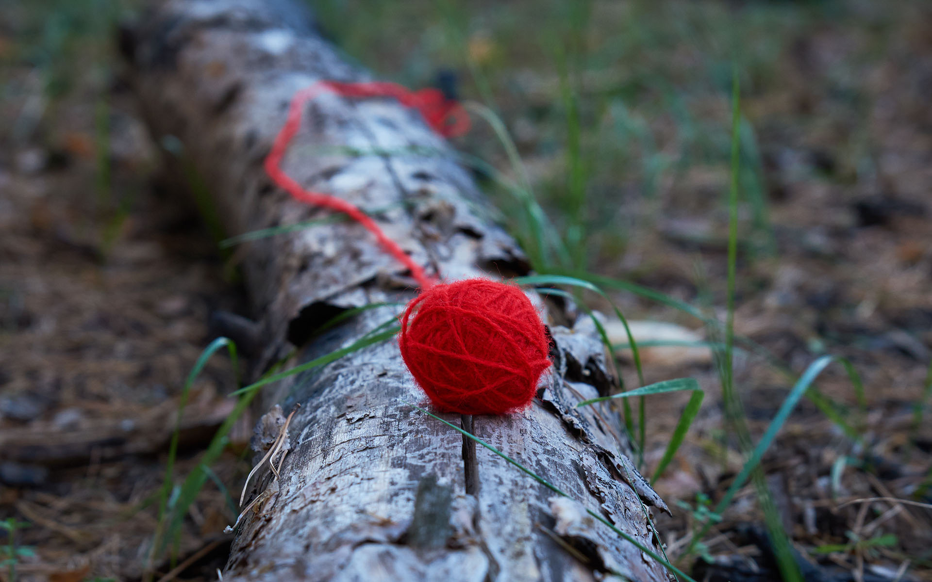 Unraveling the Power of Solution-Focused Therapy - Featured Image